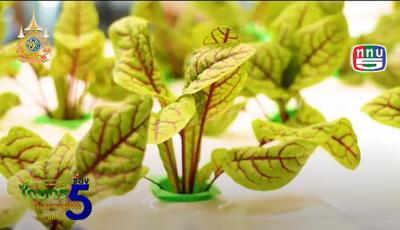 วิทยาลัยบูรณาการศาสตร์ มก. มอบโอกาสส่งต่อบุคคลผู้ทรงคุณภาพสู่สังคม