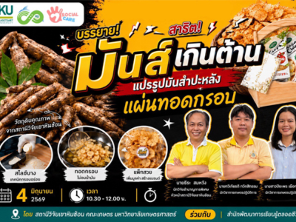 ”มันส์เกินต้าน” แปรรูปมันสำปะหลังแผ่นทอดกรอบ จาก “มันสำปะหลัง”