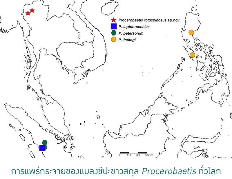 Kasetsart University - มหาวิทยาลัยเกษตรศาสตร์
