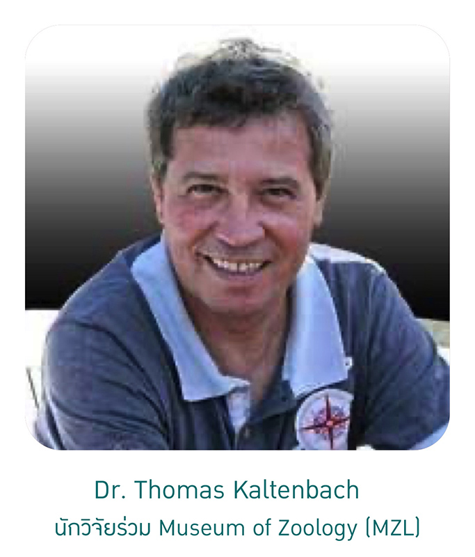 Kasetsart University - มหาวิทยาลัยเกษตรศาสตร์