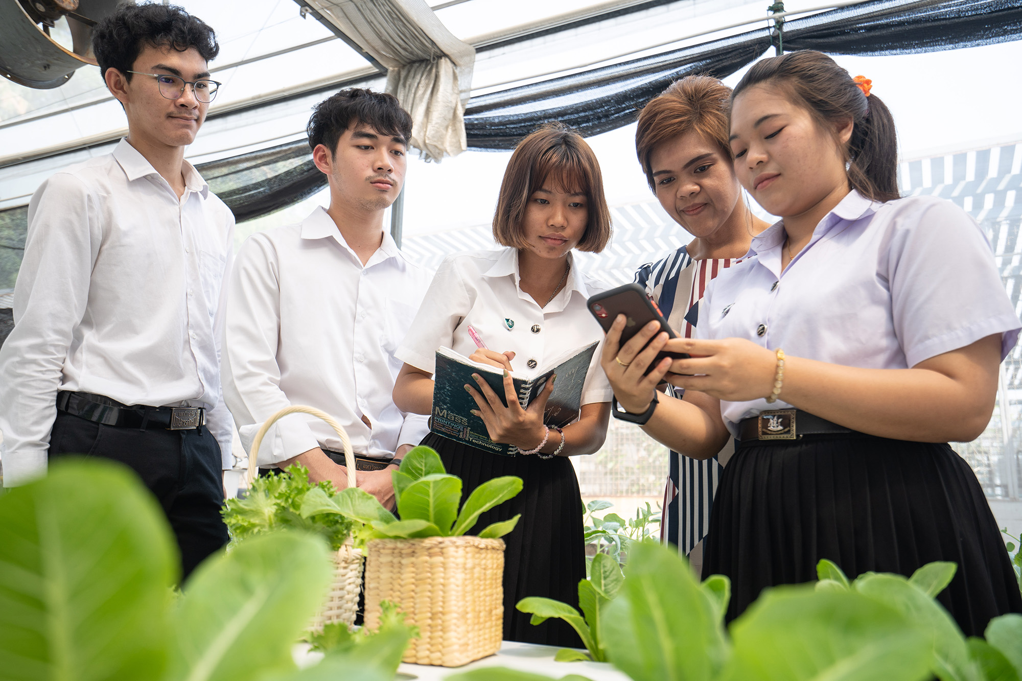 KU Faculty Of Agriculture KU Faculty Of Agriculture